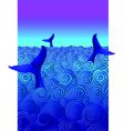 Diving whales vector image