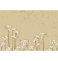 Flowers vector image