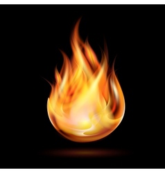 Symbol of fire vector image
