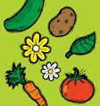 Garden elements vector image