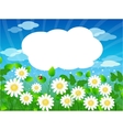 Summer meadow background vector image