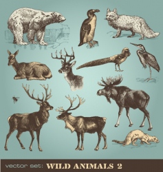 Wild animals set 2 vector image