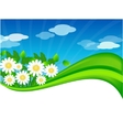 Summer meadow background vector image