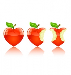 Love heart apple vector image