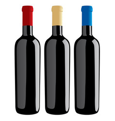 Wine bottles classic shape vector image