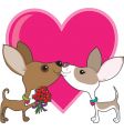 Chihuahua love vector image
