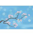 Flowered sacra vector image