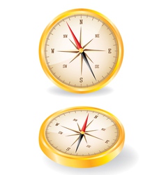 Compass vector image