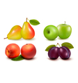 Set of fresh fruit vector image