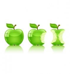 Green nibbled apple with leaf vector image