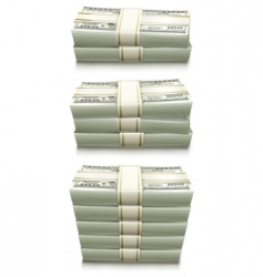 Dollar bank notes vector image