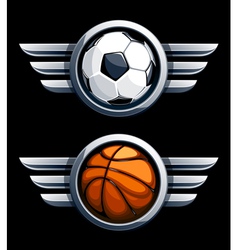 Basketball and soccer balls vector image