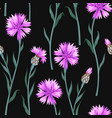 Seamless pattern with colorful cornflowers Seamless pattern with colorful cornflowers vector image
