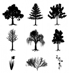 Trees narcissus chamomile bush vector image