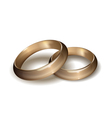 Wedding rings vector image