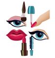 Makeup set vector image