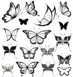 Butterflies vector image