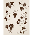 Decorative grape vine elements vector image