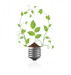 Light bulb vector image