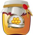 Honey spread vector image