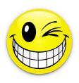 Smiley icon vector image