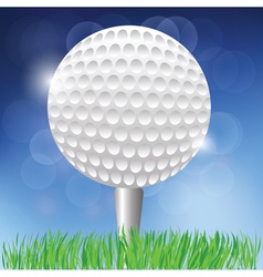 Golf background vector image