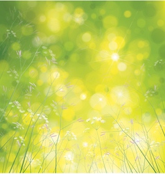 Spring background Royalty Free Vector Image - VectorStock