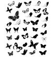 Set of butterflies vector image