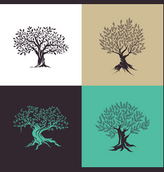 Beautiful magnificent olive tree silhouette vector image