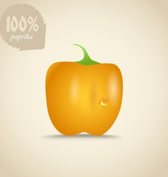 Cute fresh yellow paprica vector image