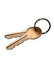 Golden keys vector image