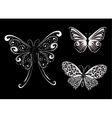 White lace butterfly vector image