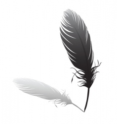 Feather and quilt vector image