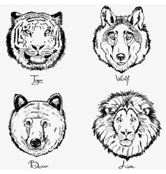 Animals vector image