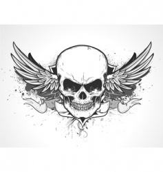 Human skull vector image
