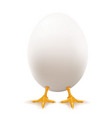 White egg vector image