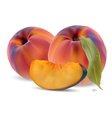 Peaches with leaves and slices vector image