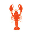 Lobster vector image