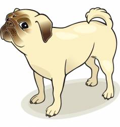 Pug dog vector image