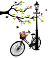 Old bicycle with flowers vector image