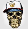 Skull with bandana and cap vector image