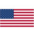 Usa flag vector image