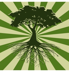 Tree vector image