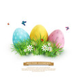 Easter eggs in green grass with white flowers Easter eggs in green grass with white flowers vector image