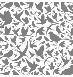 Background of birds3 vector image