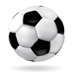 Leather soccer ball vector image