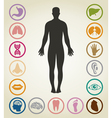 Bodies of the person vector image