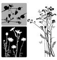 Plants silhouettes vector image