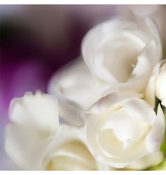 Flower background vector image