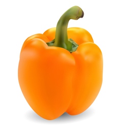 3787 vector image
